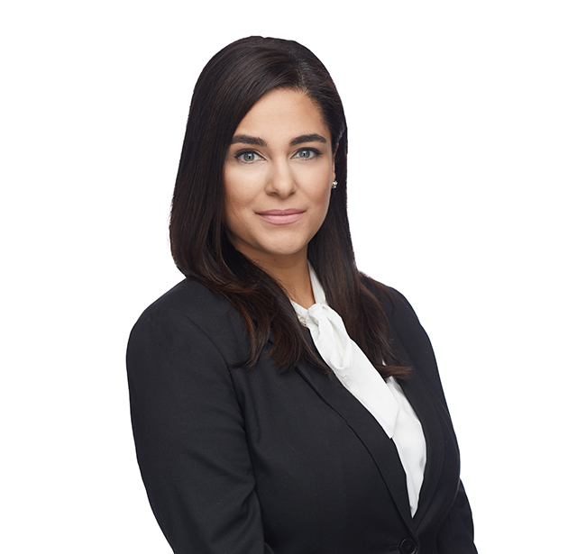 Khadija Ghani Chicago Transportation and Logistics Attorney Amundsen Davis