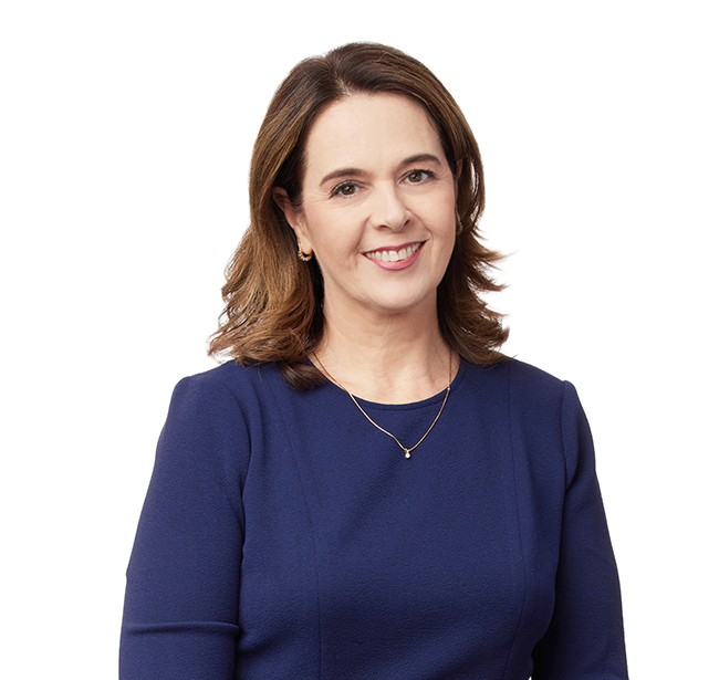 Lisa Johnson Real Estate Zoning, Land Use, Intellectual Property