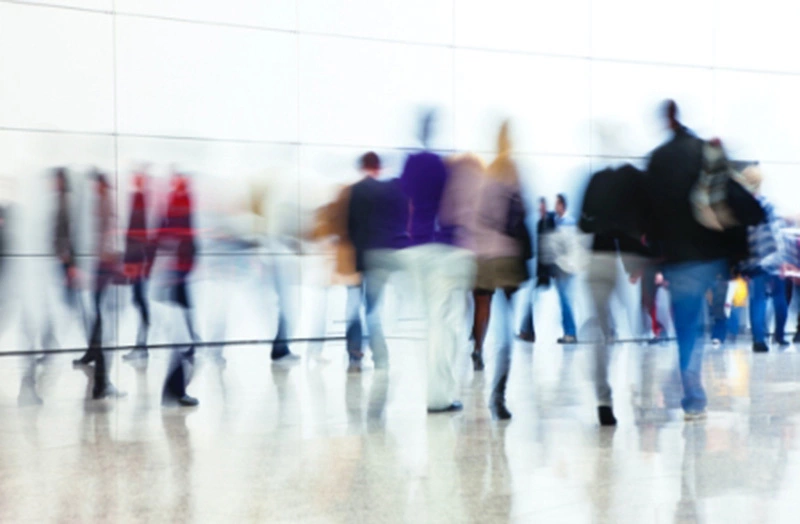 Law Students & Graduates